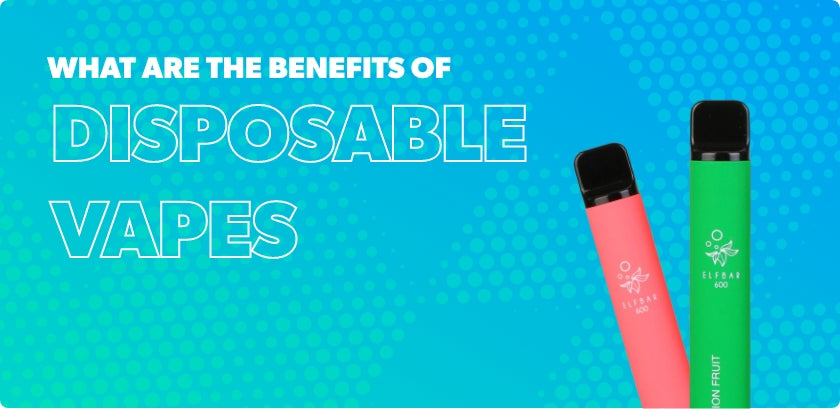 Disposable Benefits