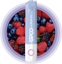 Beco Beak Blueberry Raspberry